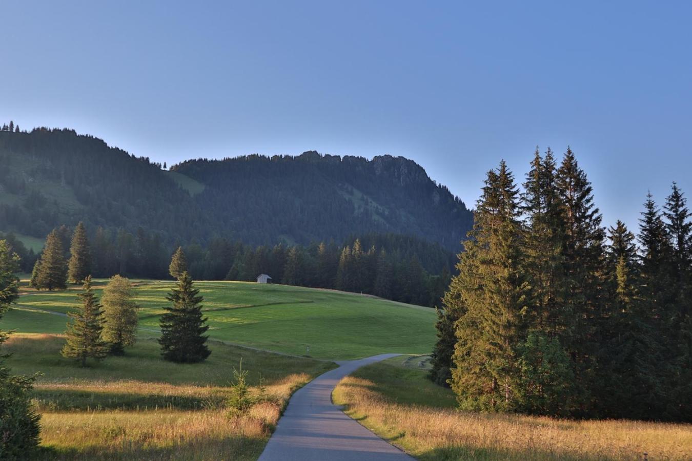 Hotel Ruhehotel & Naturresort Rehbach - Adults Only Schattwald