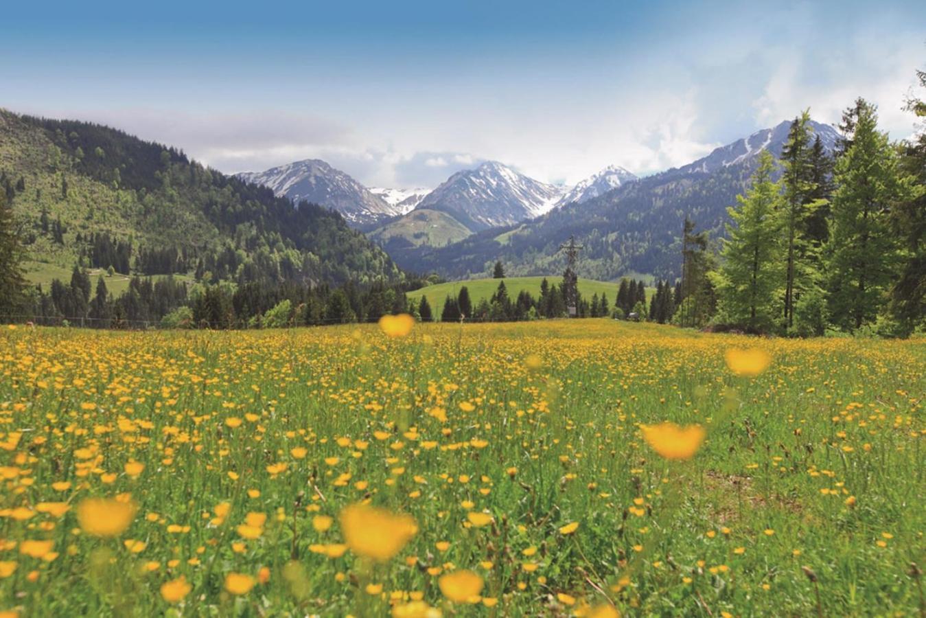 Ruhehotel & Naturresort Rehbach - Adults Only Hotel Schattwald