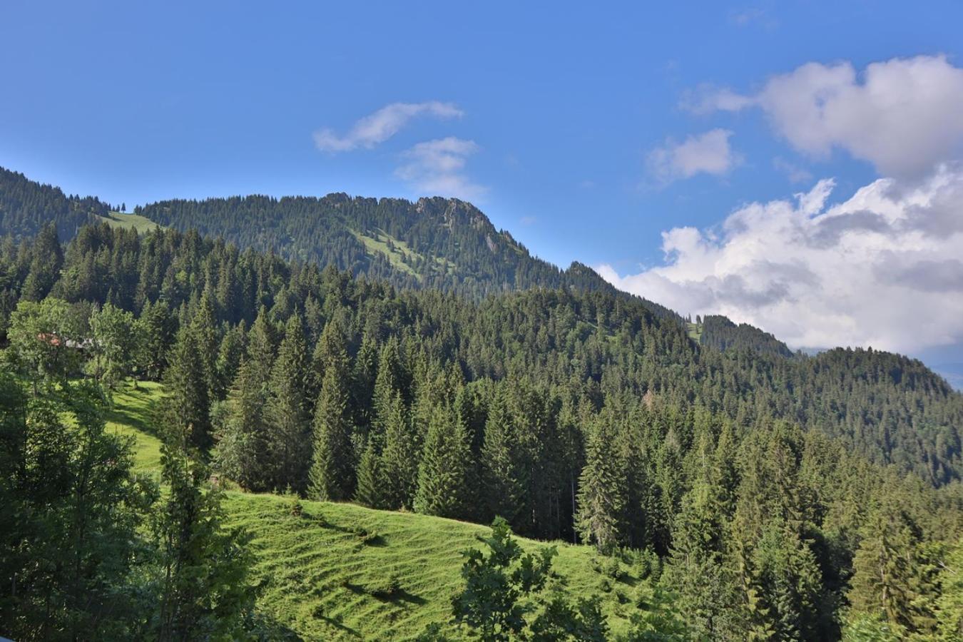 Hotel Ruhehotel & Naturresort Rehbach - Adults Only Schattwald